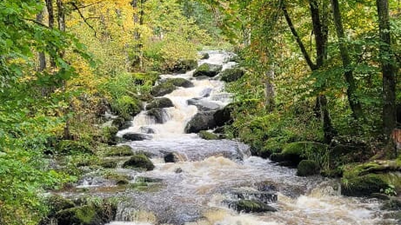 Saußbachklamm (1).jpg Saußbachklamm (1).jpg